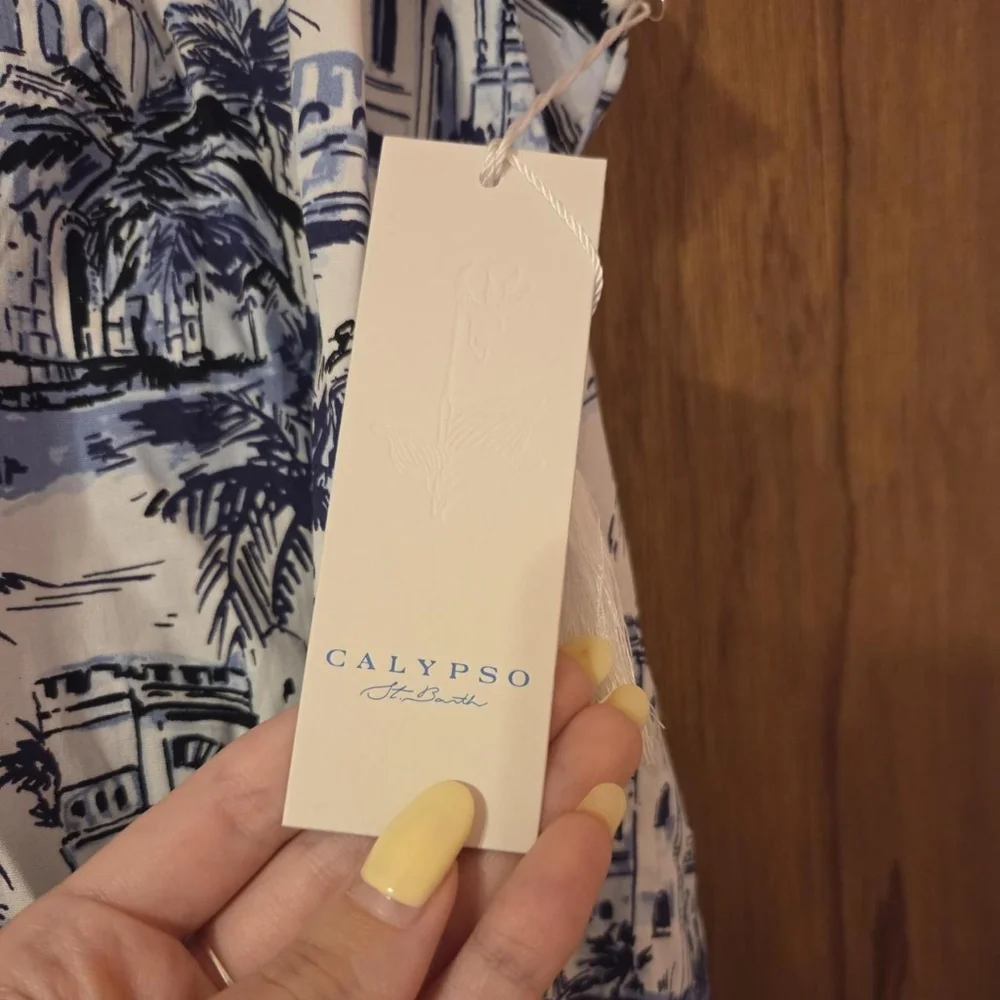 BNWT Calypso St. Barth white and blue halter neck dress size x-small - Picture 6 of 8